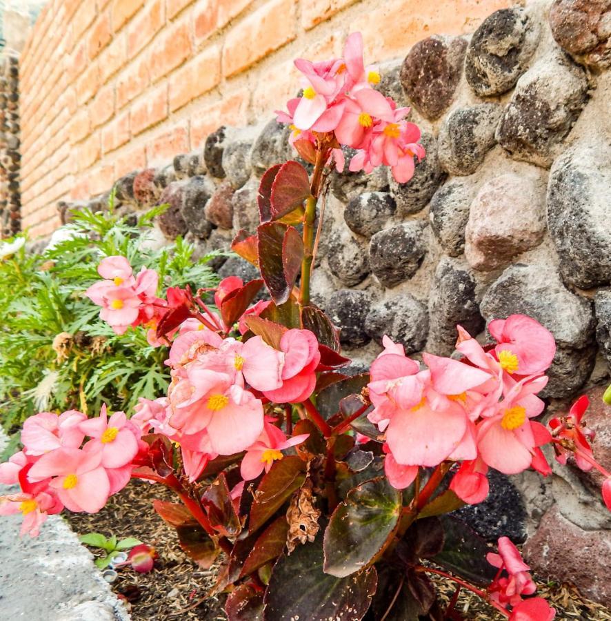 Pampa Garden Otel Quillullaco Dış mekan fotoğraf