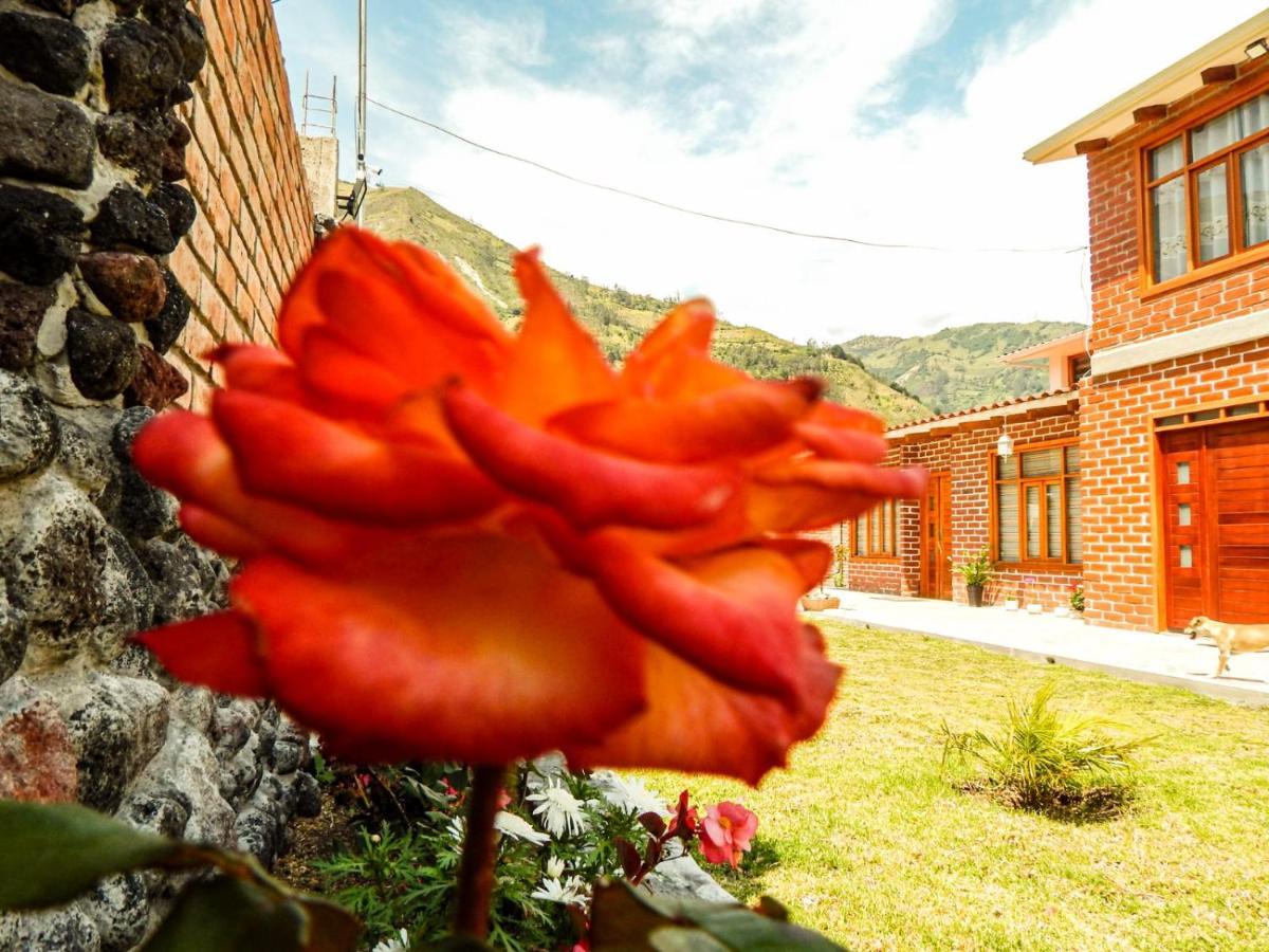 Pampa Garden Otel Quillullaco Dış mekan fotoğraf